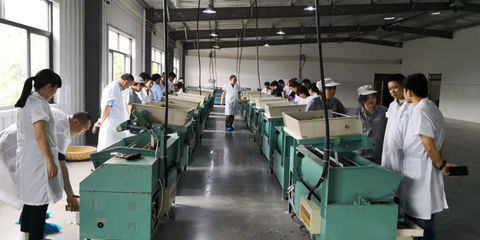 建德苞茶系列报道之六 龙头企业+茶农的建德模式，如何破局茶产业升级？