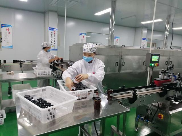 商南培育农产品深加工企业 撬动茶叶产业链新增长极