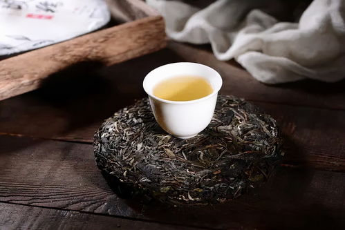 冰岛普洱 生茶与熟茶的品鉴之道及市场价值解析