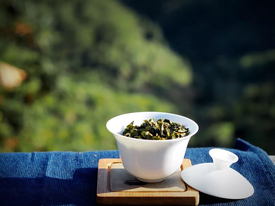 寒露秋茶铁观音，正当时的醇厚兰香